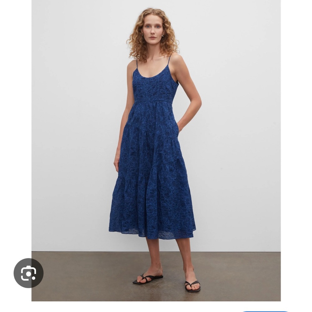 Club Monaco Traveling Tiers Dress